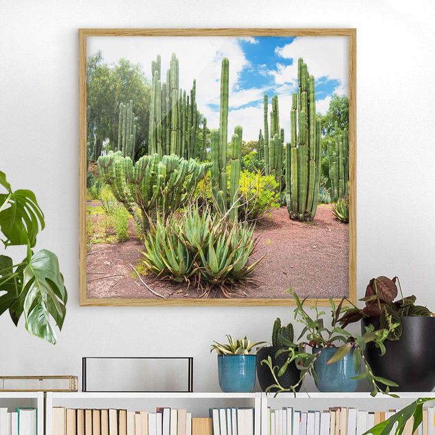 Kitchen Cactus Landscape
