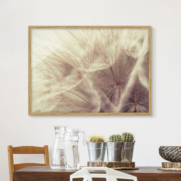 Kitchen Detailed Dandelion Macro Shot With Vintage Blur Effect