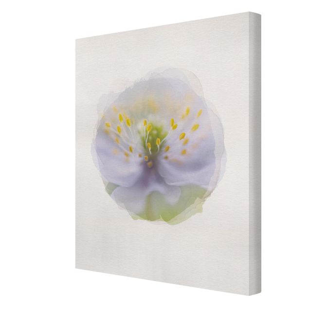 Canvas prints WaterColours - Anemones Beauty