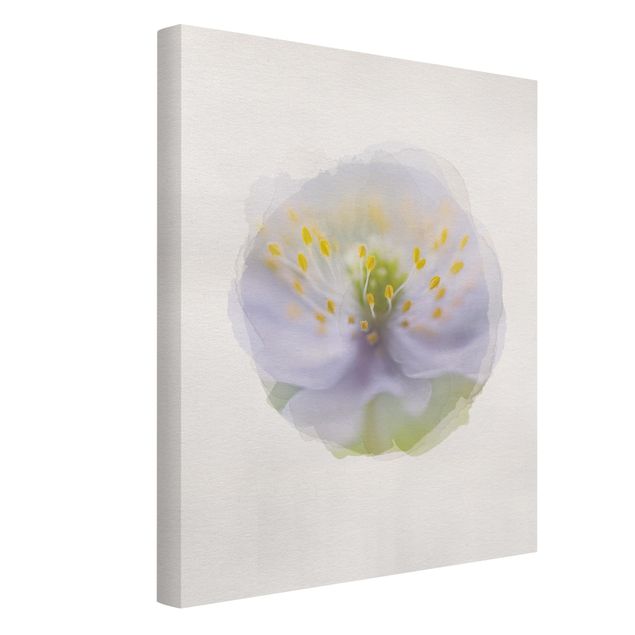 Modern art prints WaterColours - Anemones Beauty