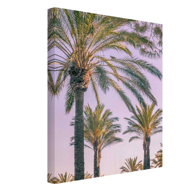 Art prints Palm Trees At Sunset
