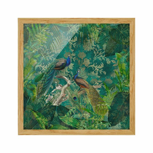 Prints animals Shabby Chic Collage - Noble Peacock II