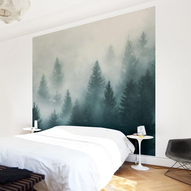 Creme wallpapers Coniferous Forest In Fog