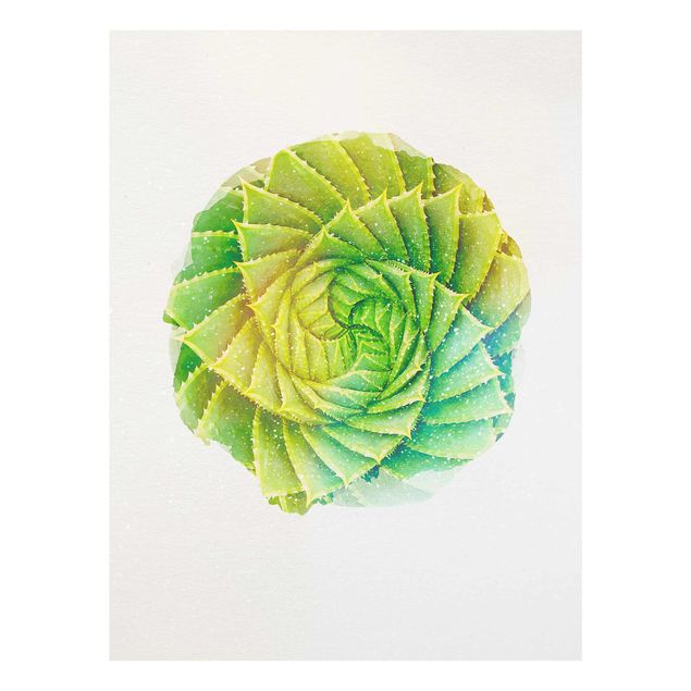 Prints flower WaterColours - Spiral Aloe