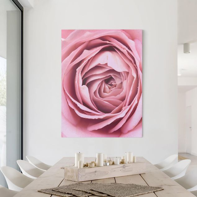 Rose canvas Pink Rose Blossom