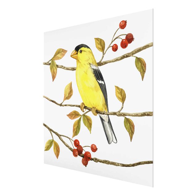 Glas Magnetboard Birds And Berries - American Goldfinch