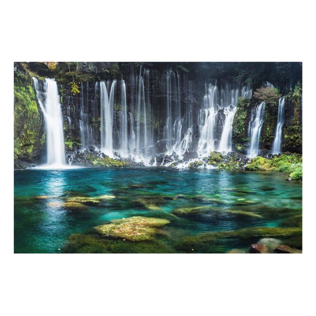Jungle print Shiraito Waterfall