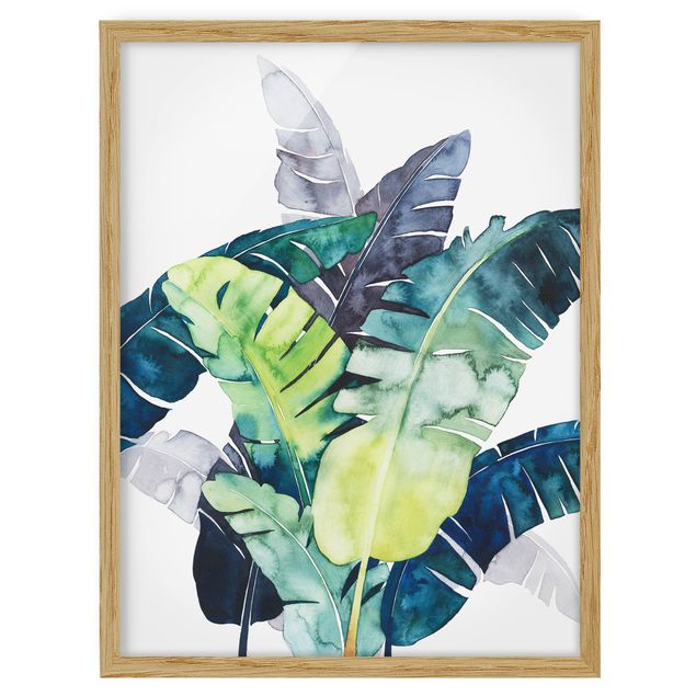 Flower pictures framed Exotic Foliage - Banana