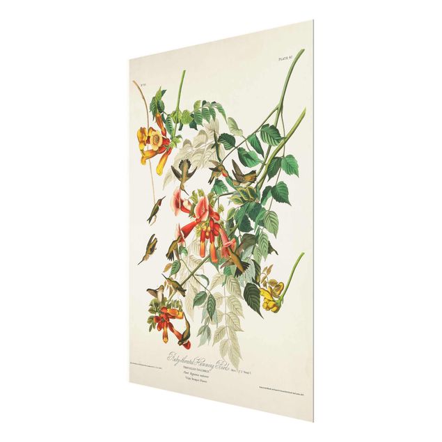 Prints Vintage Board Hummingbirds
