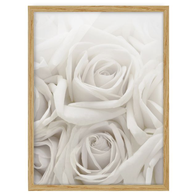 Flower pictures framed White Roses