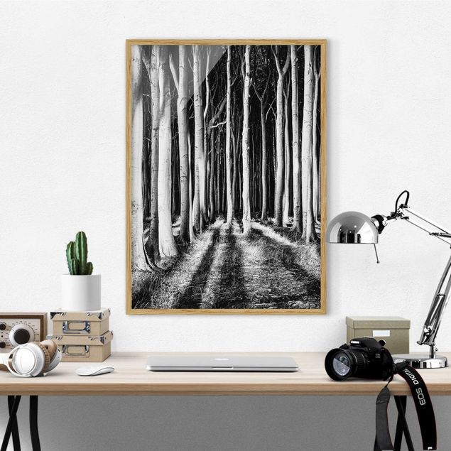 Prints landscape Spooky Forest