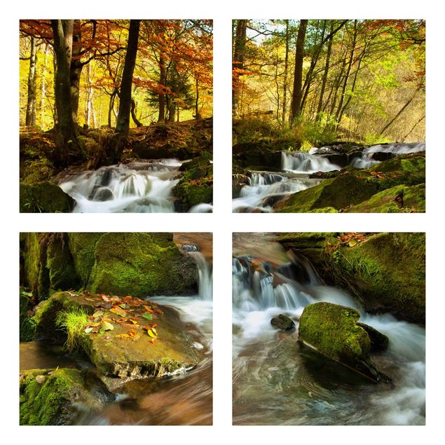 Prints trees Waterfall Autumnal Forest