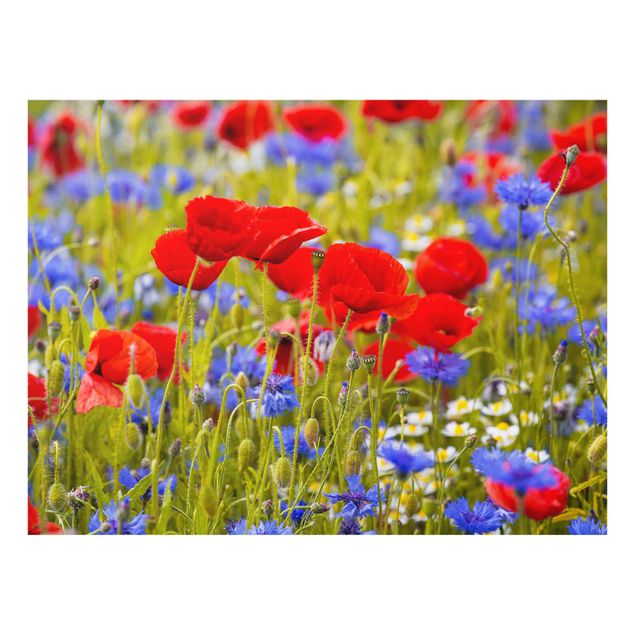 Art prints Summer Meadow With Poppies And Cornflowers