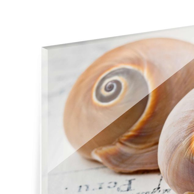 Glas Magnettafel Shell Duo