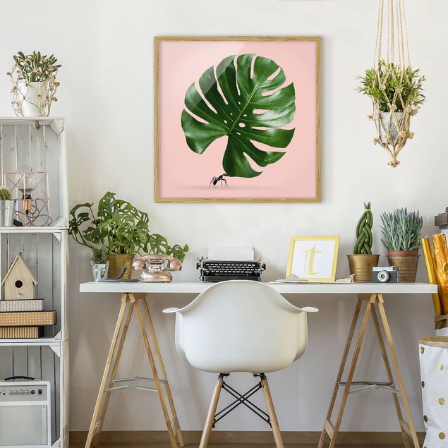 Art prints Ant With Monstera Leaf