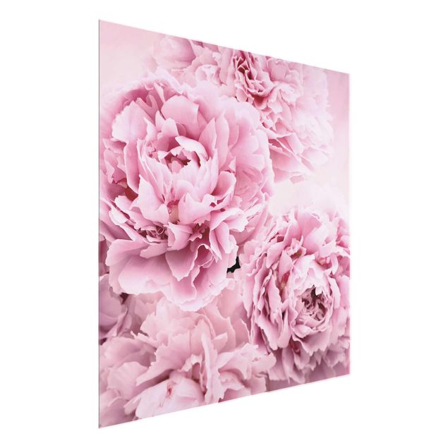 Glass prints flower Pink Peonies