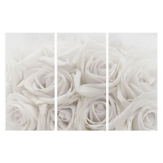 Modern art prints White Roses