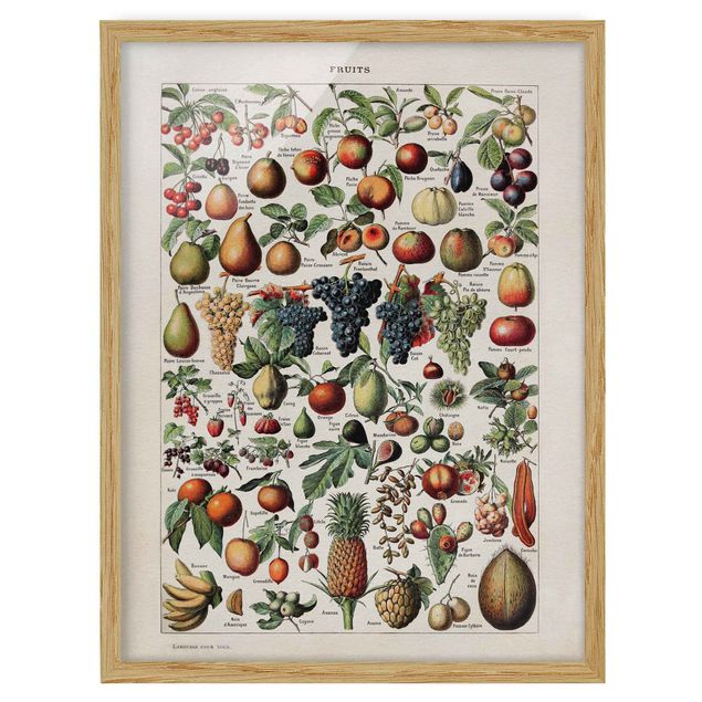 Floral prints Vintage Board Fruits