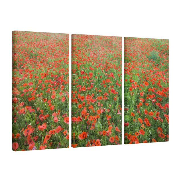 Prints floral Poppy Field