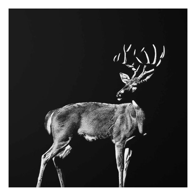 Animal canvas Deer In The Dark