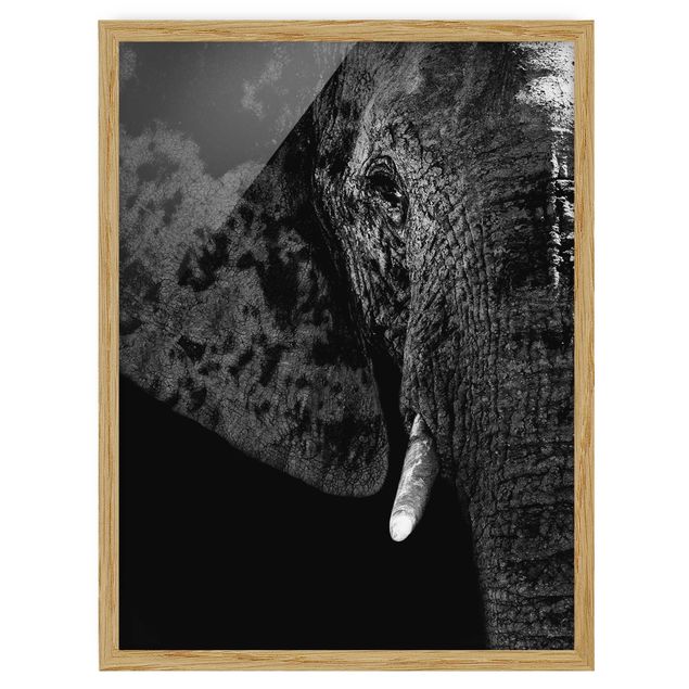 Modern art prints African Elephant black and white