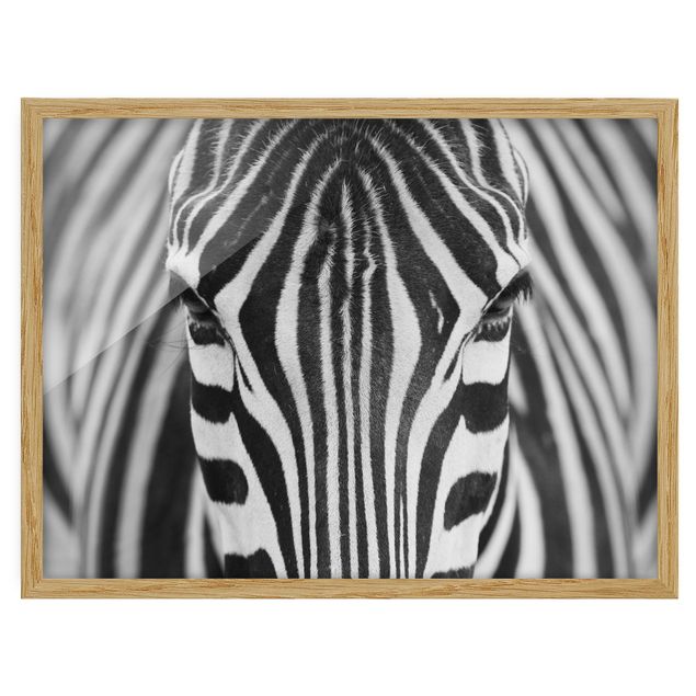 Prints modern Zebra Look