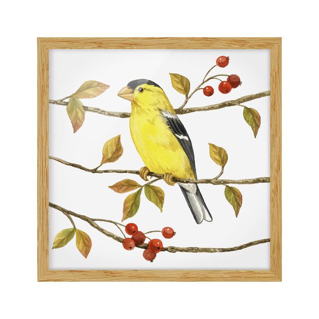 Retro wall art Birds And Berries - American Goldfinch