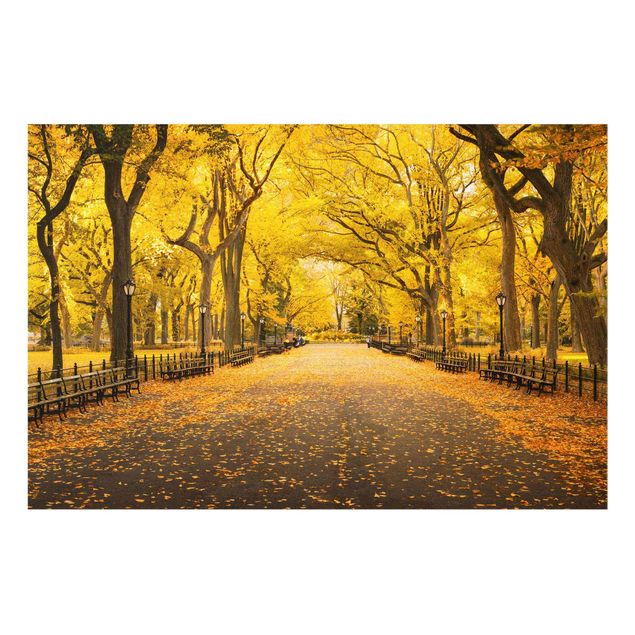 Prints modern Autumn In Central Park