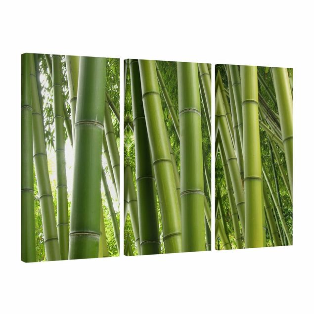 Bamboo framed art Bamboo Trees