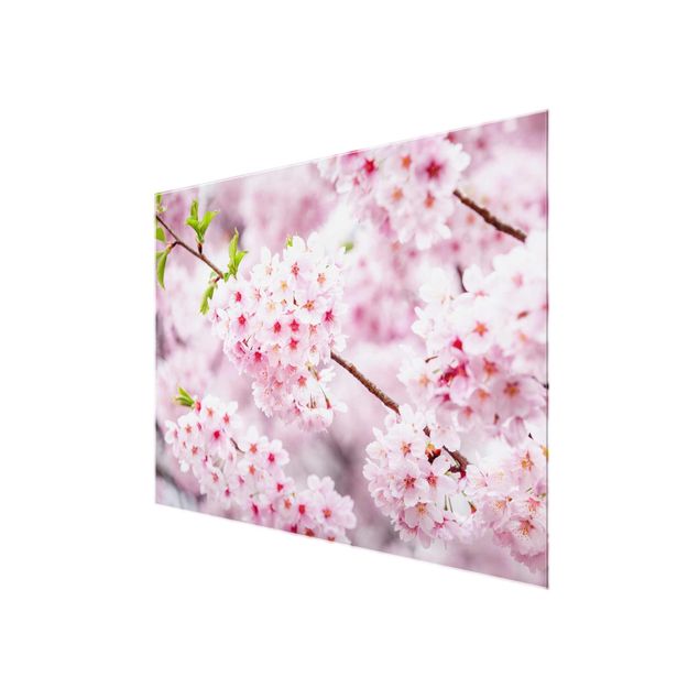 Pink wall art Japanese Cherry Blossoms