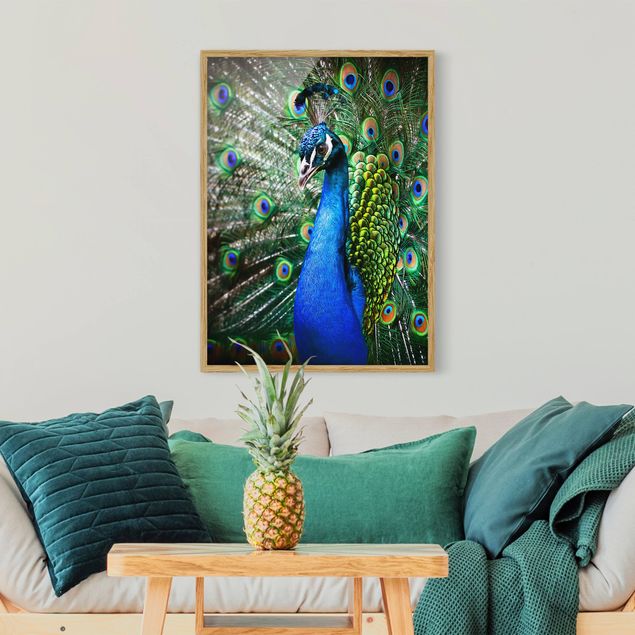Animal canvas Noble Peacock