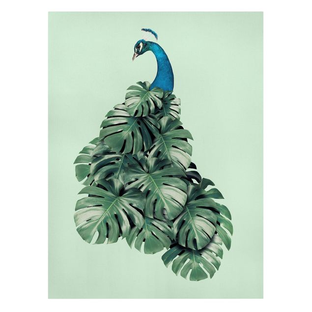 Animal canvas Peacock With Monstera Leaves