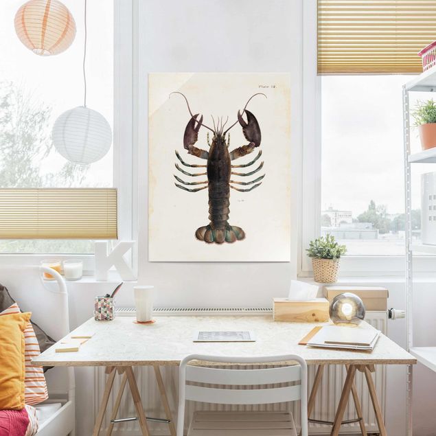 Vintage posters Vintage Illustration Lobster