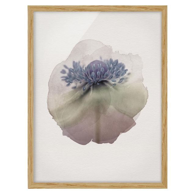 Framed floral WaterColours - Anemone In Violet