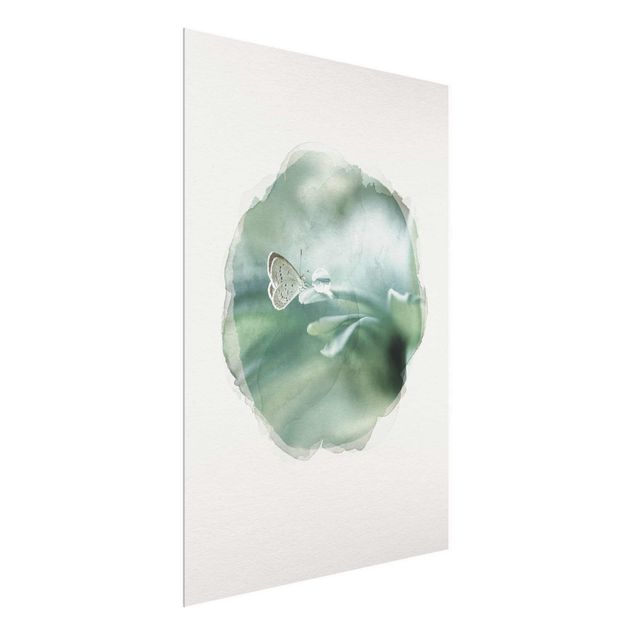 Glass prints flower WaterColours - Butterfly And Dew Drops In Pastel Green