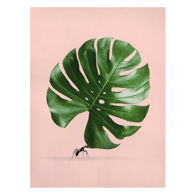 Green canvas wall art Ant With Monstera Leaf