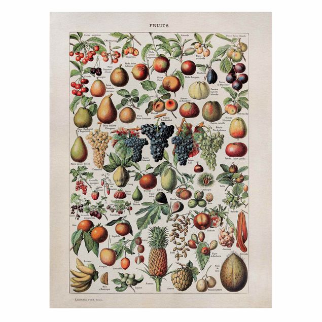 Fruit canvas Vintage Board Fruits