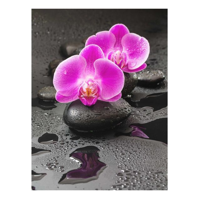 Art posters Pink Orchid Flower On Stones With Drops