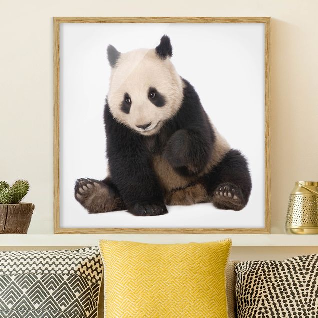 Kids room decor Panda Paws