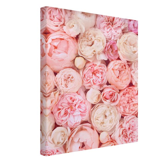 Prints flower Roses Rosé Coral Shabby