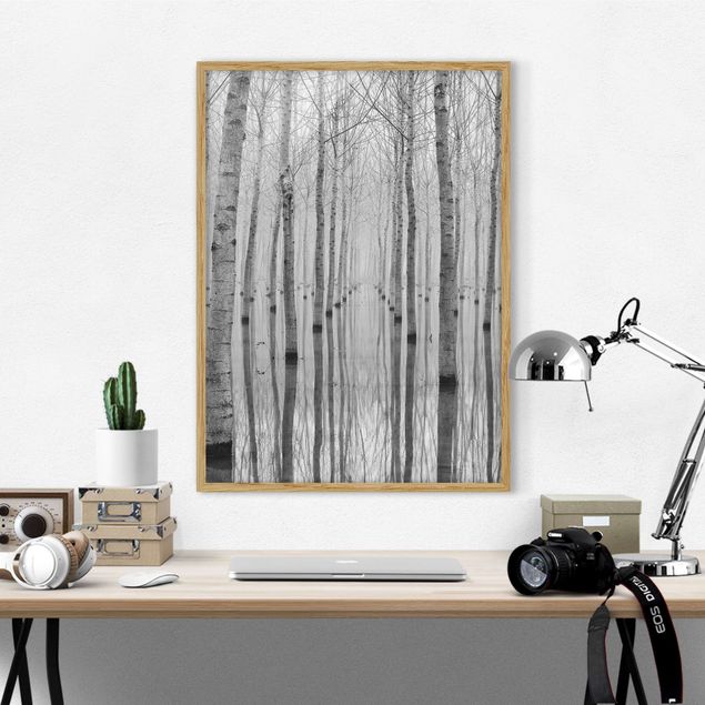 Landscape canvas prints Birches In November