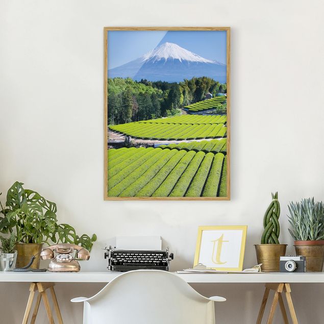 Prints landscape Tea Fields In Front Of The Fuji