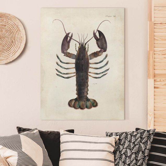 Kitchen Vintage Illustration Lobster