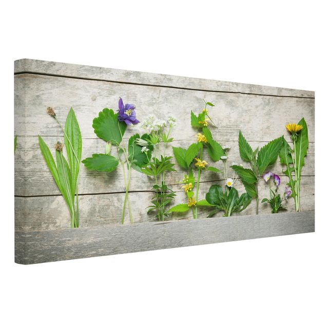 Floral picture Medicinal and Meadow Herbs