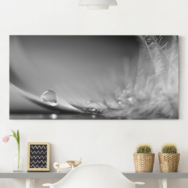 Wall art black and white Story of a Waterdrop Black White