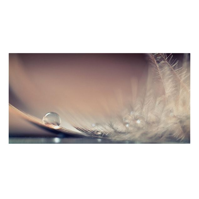 Canvas prints Story of a Waterdrop
