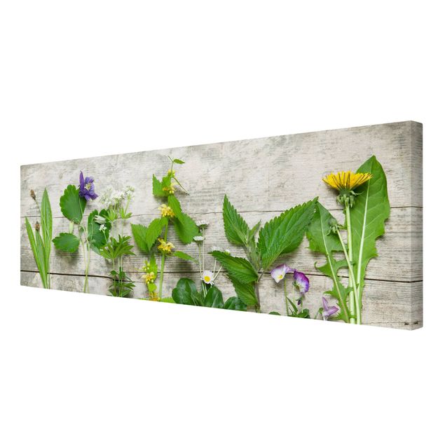 Canvas prints spices and herbs Medicinal and Meadow Herbs