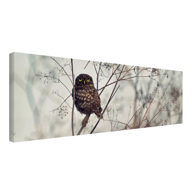 Animal canvas Owl In The Winter