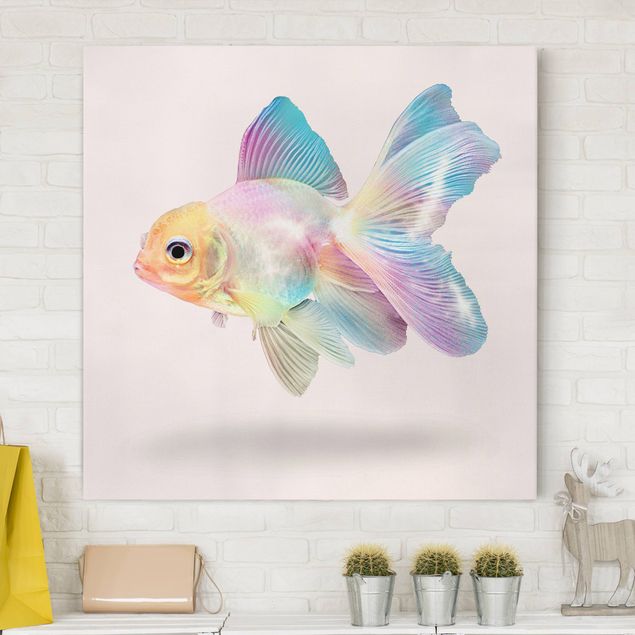 Canvas prints fishes Fish In Pastel