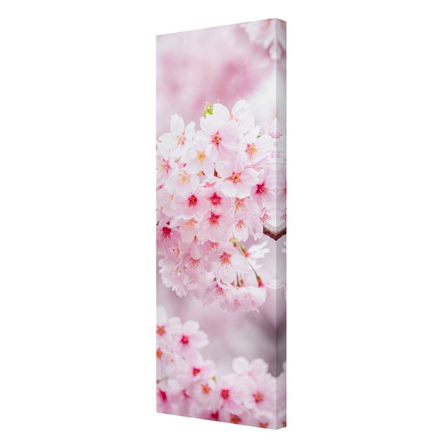 Contemporary art prints Japanese Cherry Blossoms